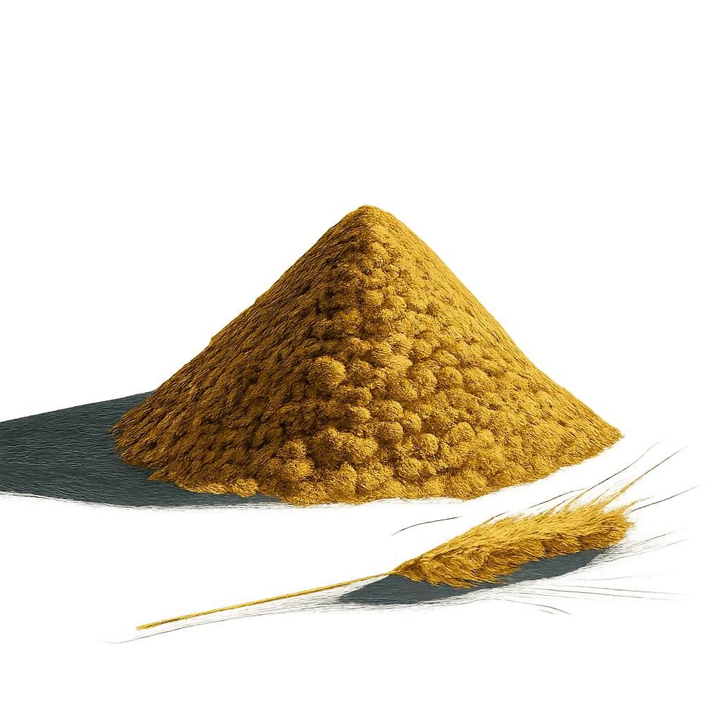 Pilsner malt